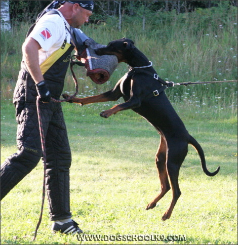 Summer training camp in Finland 2007